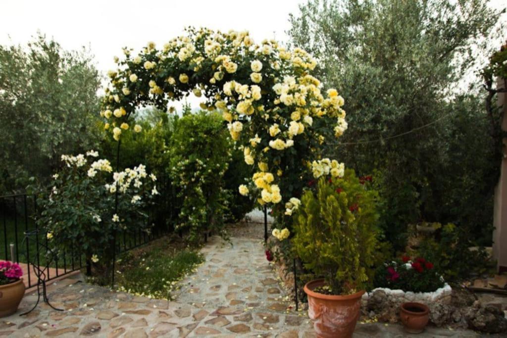 Cazorla-Alcon, Casa Hoya Don Gaspar Pozo Alcon Bagian luar foto